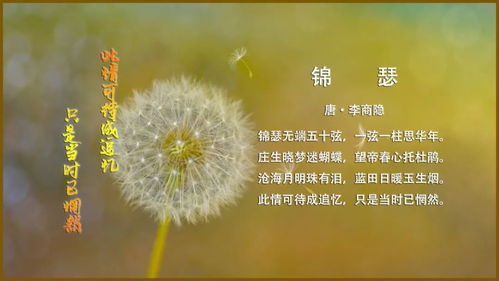 分析《錦瑟》中的典故