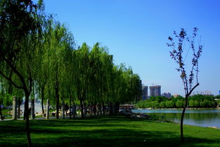 曲江,典故,遺址,公園