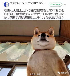 典故,趣聞,哲理