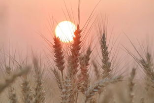 滿招損謙受益的典故