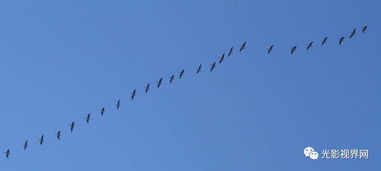 關(guān)于雁的典故,關(guān)于云的典故,云的典故成語