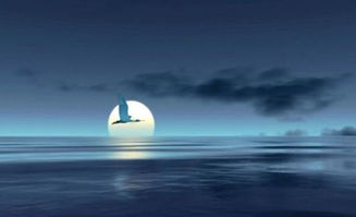 滄海月明典故,滄海明珠典故,滄海珠淚的典故