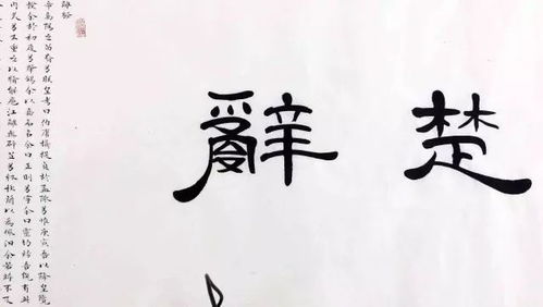 姓馬名字的典故