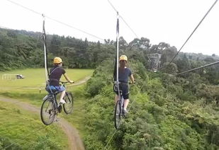 周瑜點將臺的典故,云臺山點將臺典故,邯鄲叢臺點將臺典故