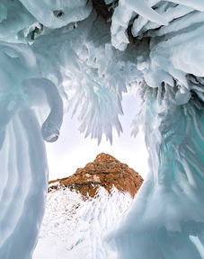 夏蟲(chóng)不可以語(yǔ)于冰典故