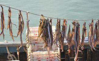 魚(yú)干的典故