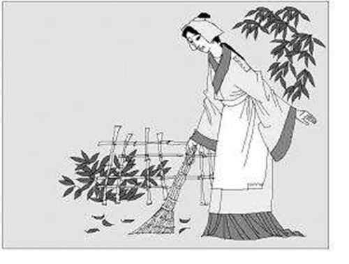 有關(guān)虱的典故