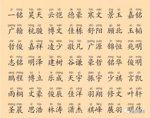 典故,取名,詩(shī)詞,男孩