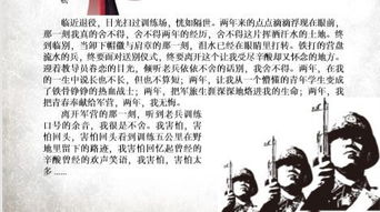 憶昔中的典故的作用