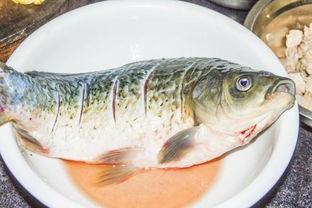 過(guò)江魚典故