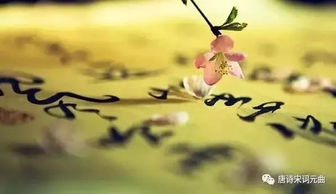 關(guān)于修身的典故,關(guān)于修身做人的典故,關(guān)于修身的人物典故