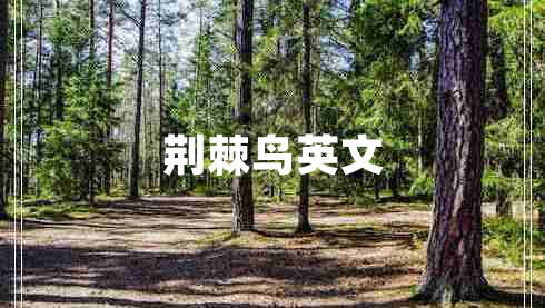 荊棘鳥(niǎo)英文