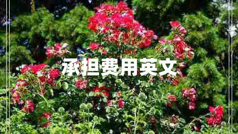 承擔費用英文