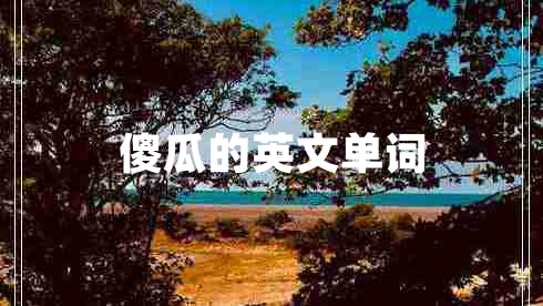 傻瓜的英文單詞