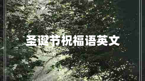 圣誕節(jié)祝福語英文