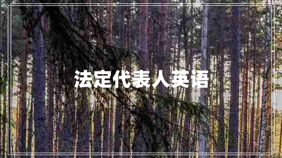 法定代表人英語