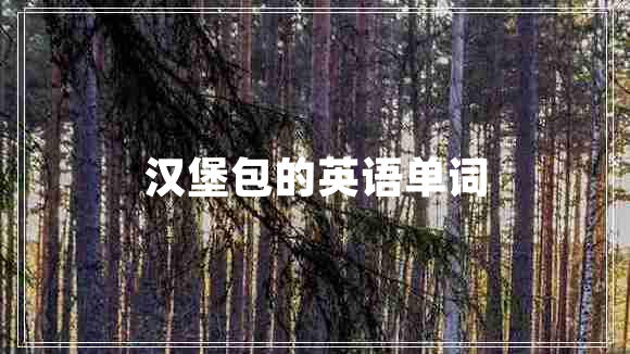 漢堡包的英語(yǔ)單詞