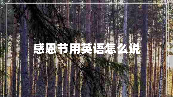 感恩節(jié)用英語(yǔ)怎么說