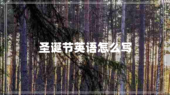 圣誕節(jié)英語怎么寫