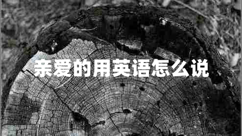 親愛的用英語怎么說