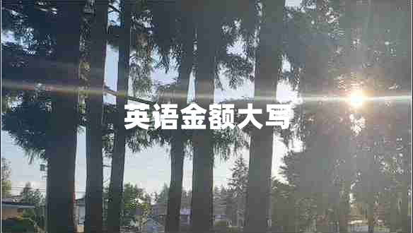 英語(yǔ)金額大寫(xiě)