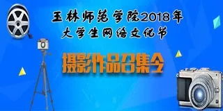 網(wǎng)絡文化節(jié)策劃方案