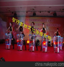 明星開(kāi)業(yè)演出策劃方案