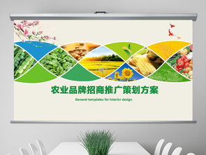 農(nóng)藥策劃方案ppt