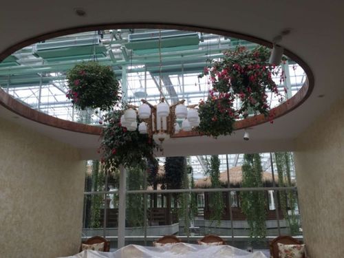 親子活動生態(tài)農(nóng)場策劃方案