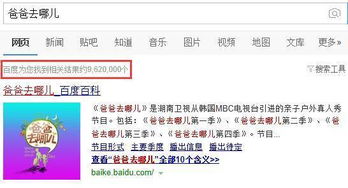 爸爸去哪兒電視欄目策劃方案