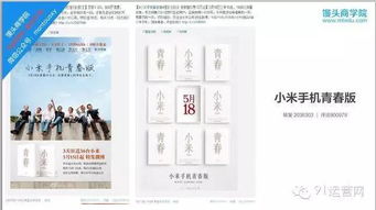小米網(wǎng)絡(luò)營(yíng)銷(xiāo)策劃方案