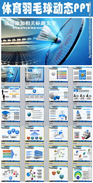 羽毛球拍營(yíng)銷策劃方案