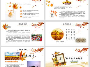 秋季的活動策劃方案