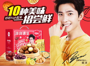 百草味營(yíng)銷策劃方案