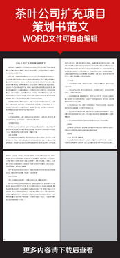 公司品牌策劃方案范文