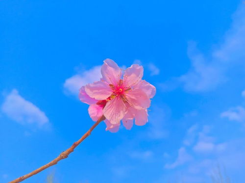 句子,激發(fā)學(xué)生,能量