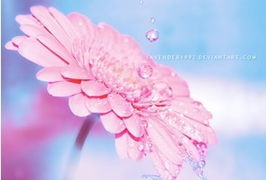 人情冷暖正能量句子