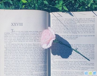 中考正能量的句子,中考正能量的句子經(jīng)典語句,中考拼搏努力正能量的句子