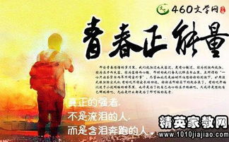 青春正能量句子100字,致青春正能量的句子,青春正能量的句子八個(gè)字