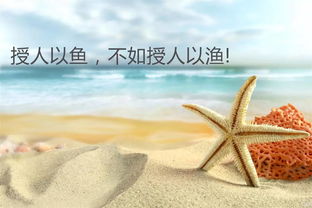 句子,能量,實在