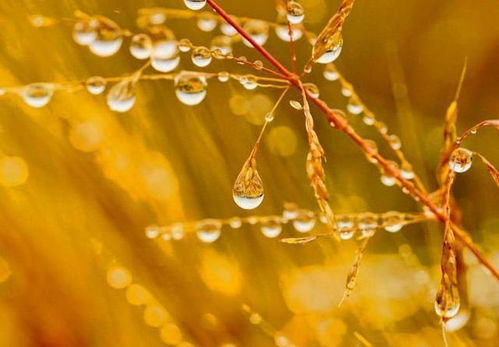 簡(jiǎn)短,句子,知己,能量