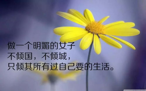 早上好正能量的短句子大全,女人豁達正能量的短句子,正能量英語短句子大全