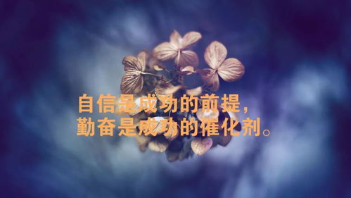 冬天早上發(fā)朋友圈的句子可吸引人,冬天早上發(fā)朋友圈的好句子,適合冬天早上發(fā)朋友圈的句子和