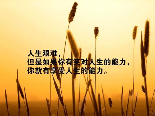 人心,句子,激勵,能量