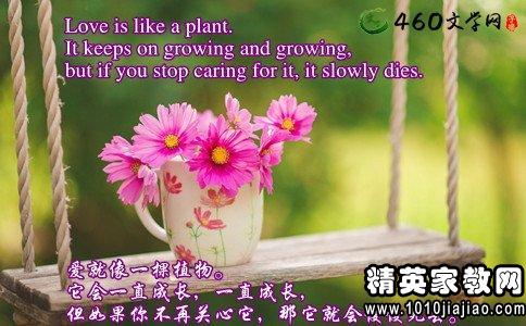 句子,能量,學(xué)習(xí)