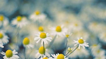 關(guān)于夫妻正能量的句子,夫妻正能量奮斗的句子,勵志夫妻正能量的句子