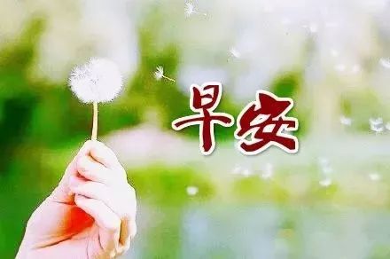正能量陽光的長(zhǎng)句子說說心情