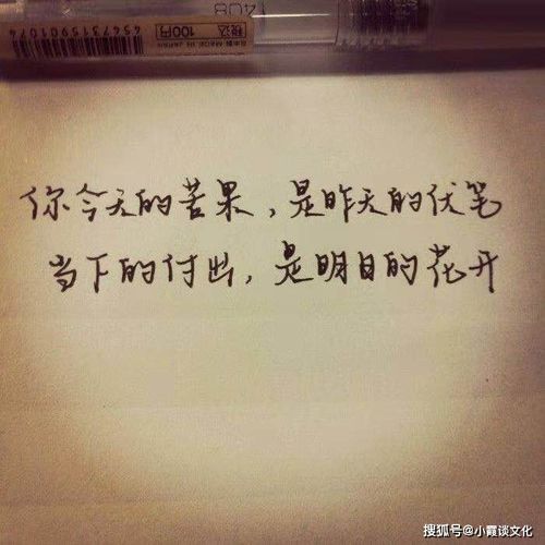 超越和蛻變的正能量句子,經(jīng)歷蛻變正能量句子,從懵懂無知蛻變到成熟的句子正能量