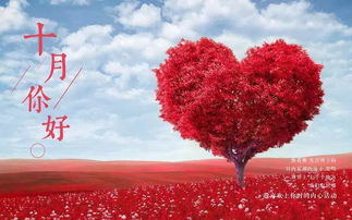 正能量的句子經典語句,志愿者正能量的句子經典語句,追星正能量的句子經典語句