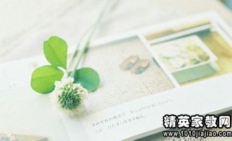 英文,句子,能量,心態(tài)